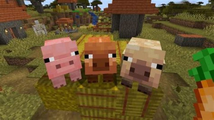 Minecraft: How to Update to 1.15 (PC, Xbox One, PS4, Nintendo Switch)