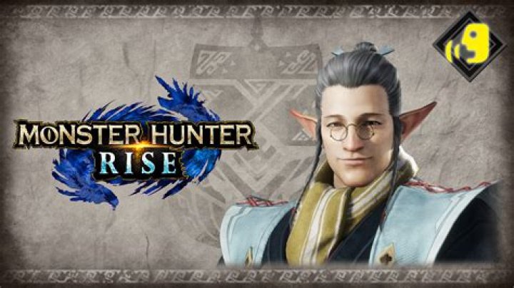 Monster Hunter Rise: How to Save
