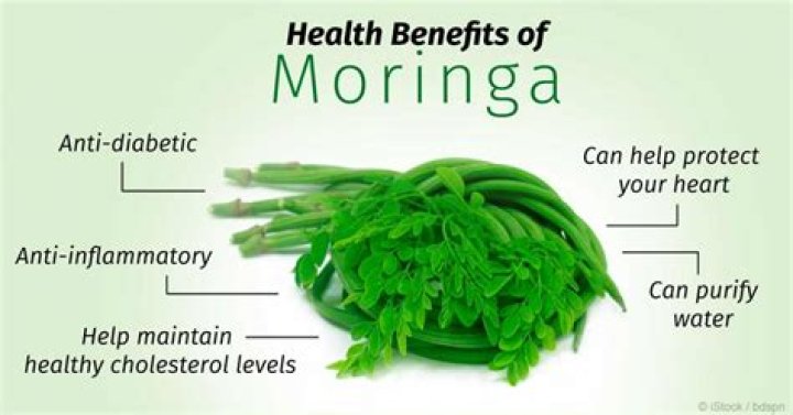 Moringa Leaves| What Are The Benefits Of Moringa Tea?