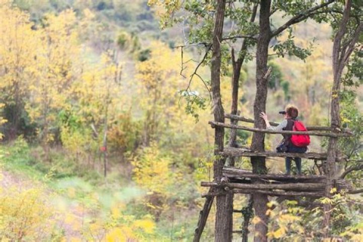 	Nature- and bird-watching sites	