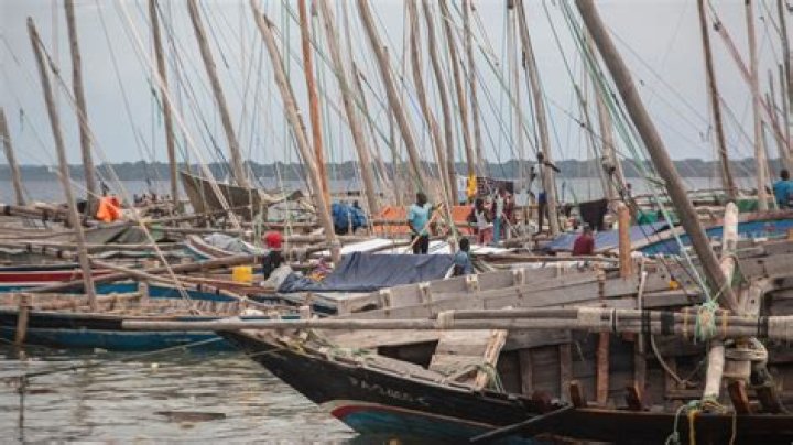 Nearly 100 dead after overcrowded boat sinks off Mozambique coast