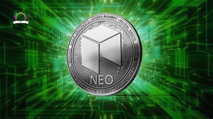 Neo Fortnite: What Does Neo Mean?