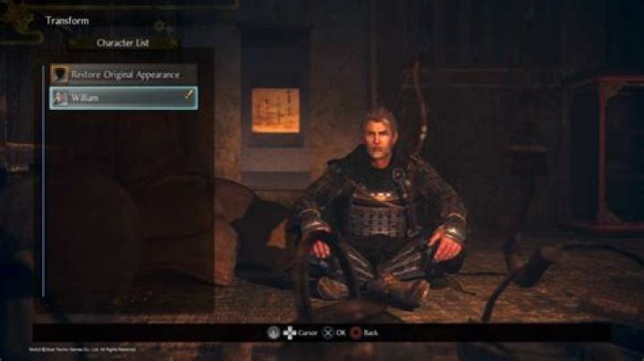 Nioh 2: How to Play as William Adams
