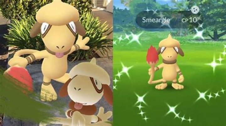 Odds of catching a Shiny Smeargle