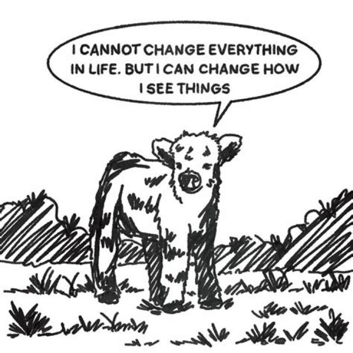 	‘OLD COW’ CAN’T CHANGE	