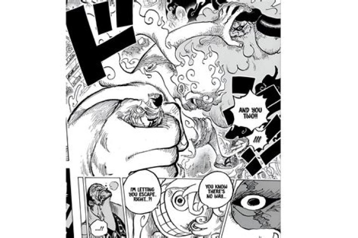 One Piece fans are being warned to avoid Chapter 1109 spoilers