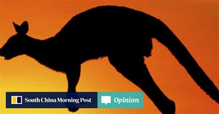 Opinion | Myth busting: where the word ‘kangaroo’ really came from – spoiler, it doesn’t mean ‘I don’t know’