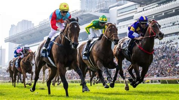 PACKING MILES (E096) 包裝千里 | Horses | HK Racing