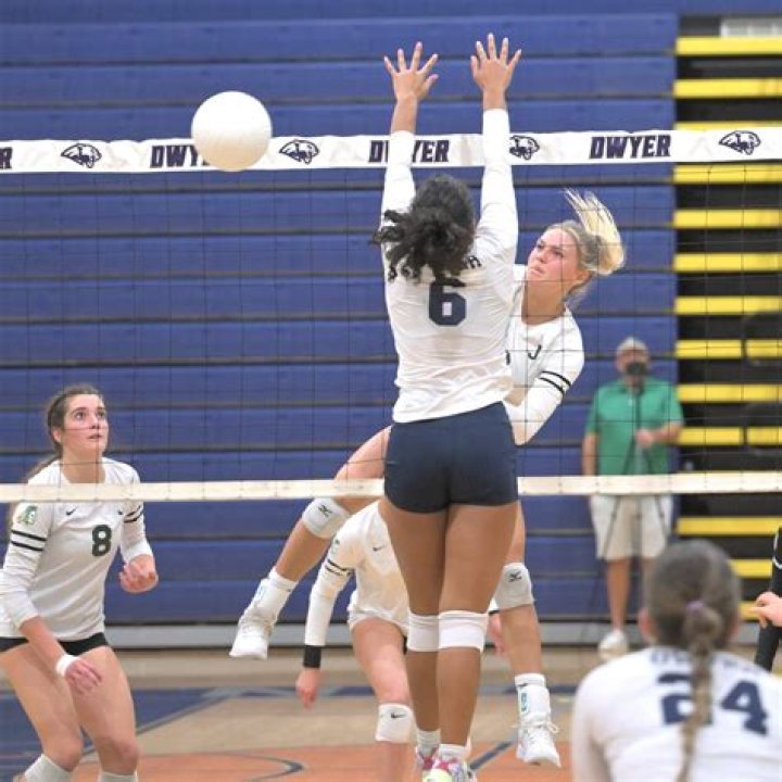 	Palm Beach County girls volleyball team previews	