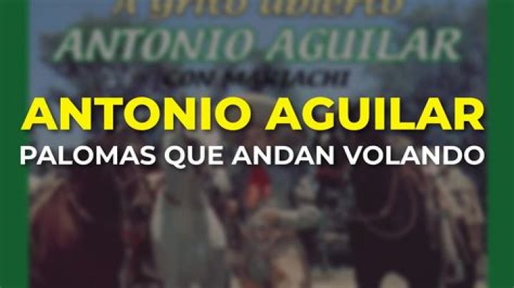 Palomas Que Andan Volando Letras - Palomas Que Andan Volando Traducciones