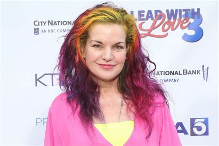 Pauley Perrette Vermögen
