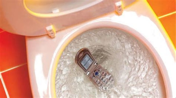 	Pee-yew! Floridians are tops in this gross behavior	