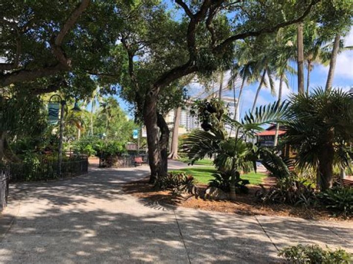 	Peek inside Fort Lauderdale’s record-setting home sale	