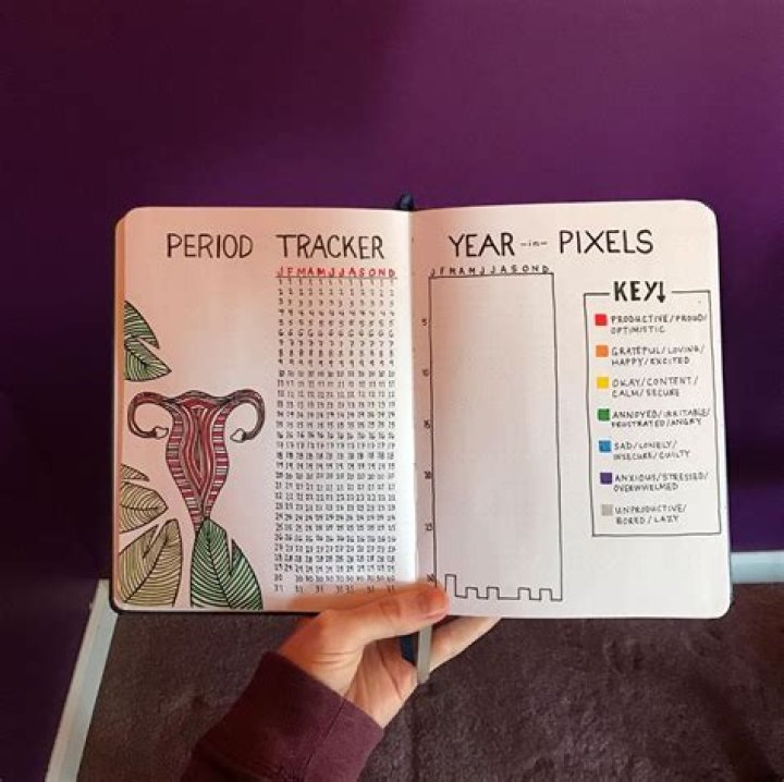Period Tracker Bullet Journal