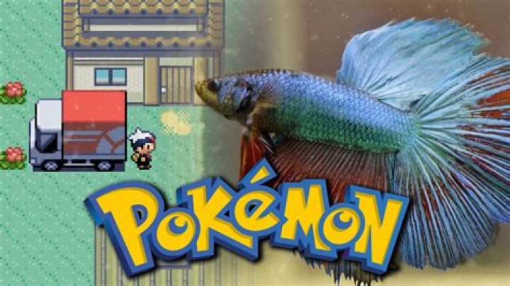 Pet fish plays Pokemon Ruby and wins two Gym Badges during livestream