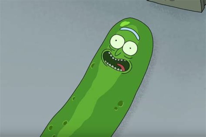Pickle Rick is already everyone’s favorite character from Rick and Morty’s third season