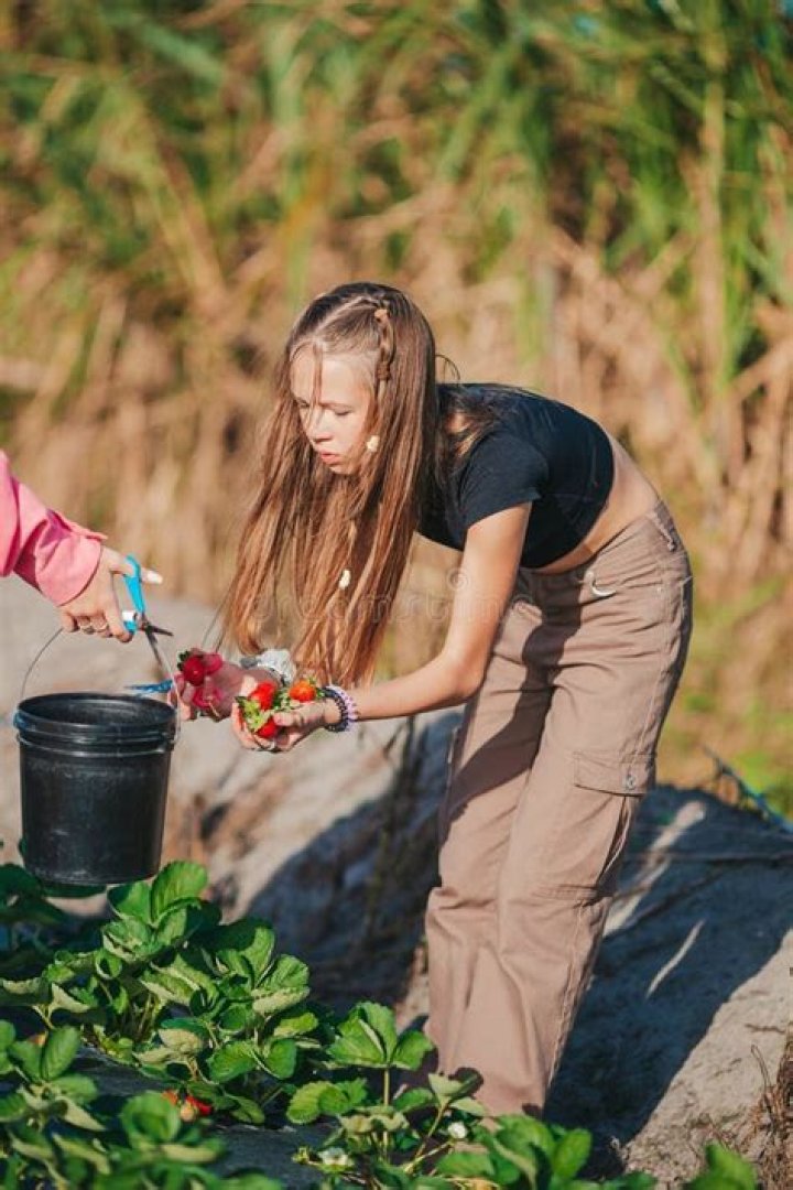 	PLANTATION TEEN SNAPS UP PHOTO HONORS	