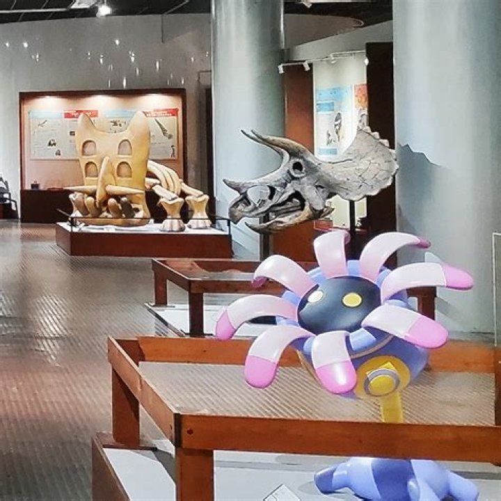 Pokémon Fossil Museum