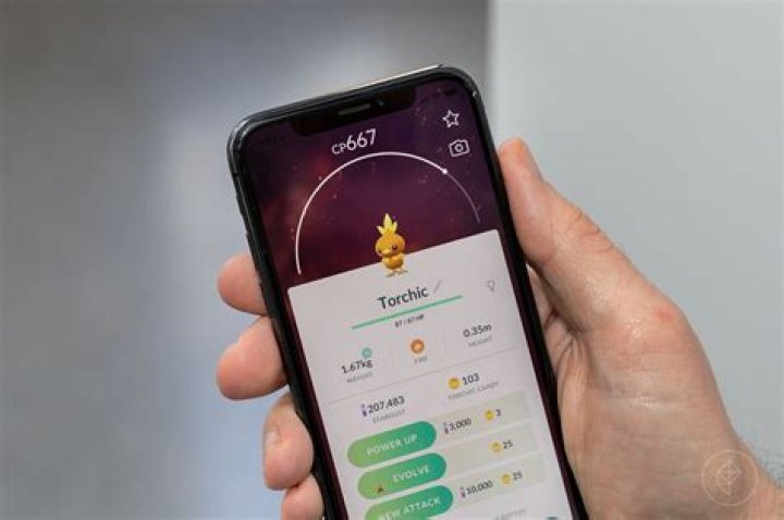 Pokemon Go guide: May Community Day with Torchic details and start time