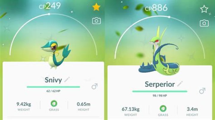 Pokemon GO: How to Get Shiny Snivy