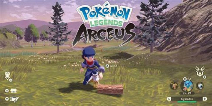Pokemon Legends Arceus: Where to Get Wood