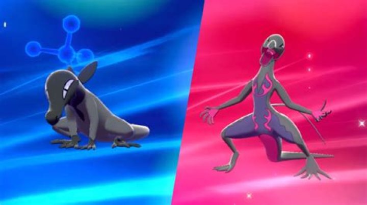 Pokemon Sword & Shield glitch lets male Salandits evolve into Salazzle