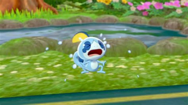 Pokemon Sword & Shield leakers forced to pay $300k to Nintendo over 2019 leaks