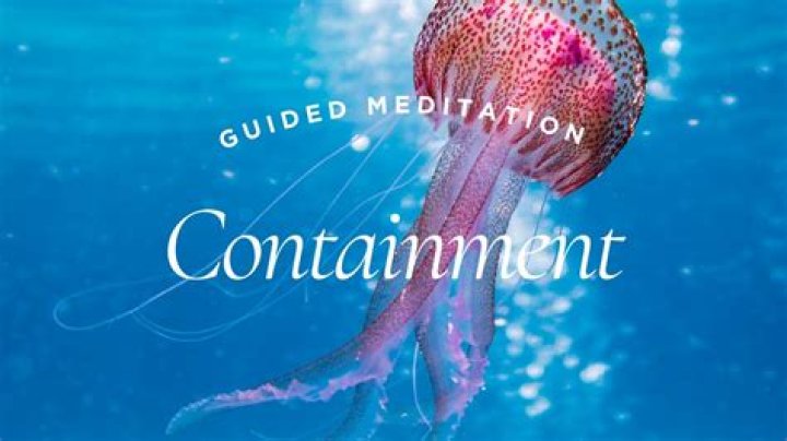 Psicrystal Containment & Psionic Meditation