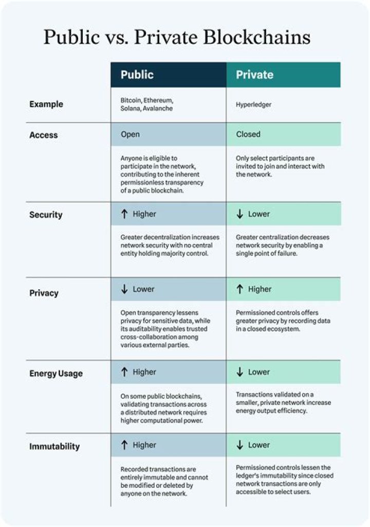 Public vs. Private Blockchains: How Do They Work?