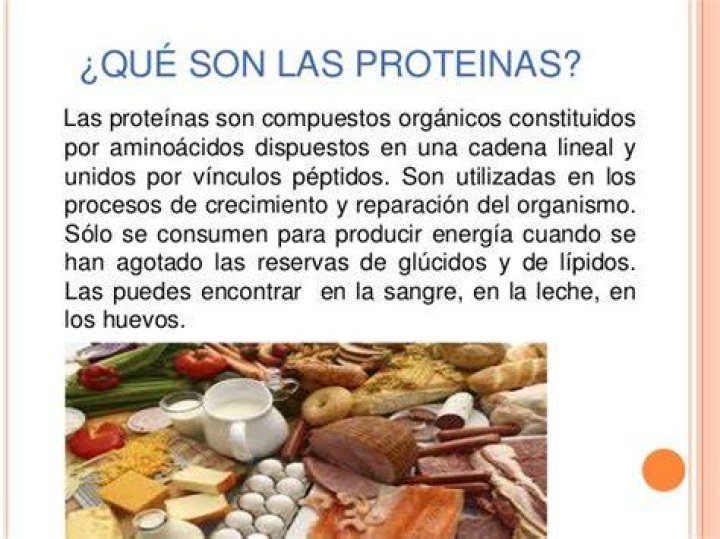 ¿Qué son las proteínas y para qué sirven?