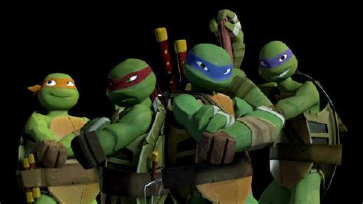 Ranking the Teenage Mutant Ninja Turtles from Bogus to Bodacious