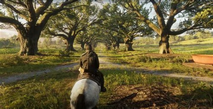Red Dead Redemption 2: When It Takes Place, What Year It’s Set In
