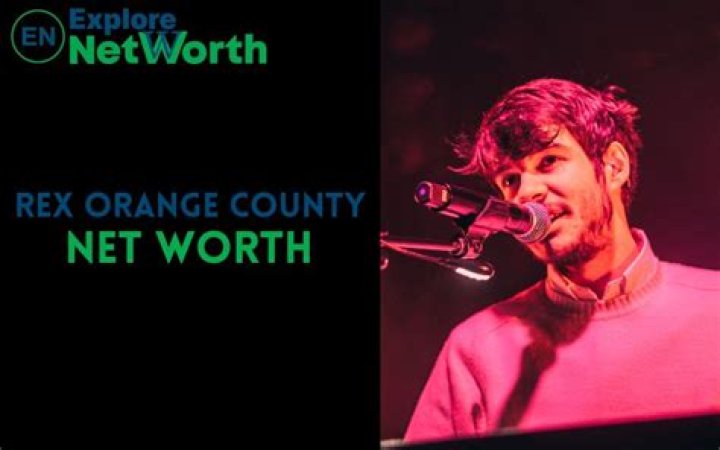 Rex Orange County Net Worth 2024