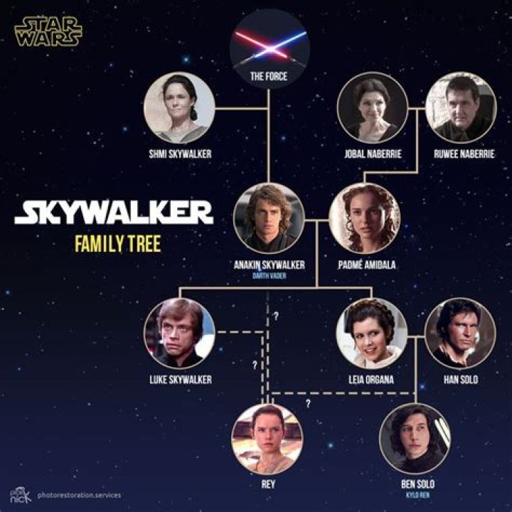 Rey Skywalker Family Tree: Is She Really A Skywalker Or Palpatine? Explained