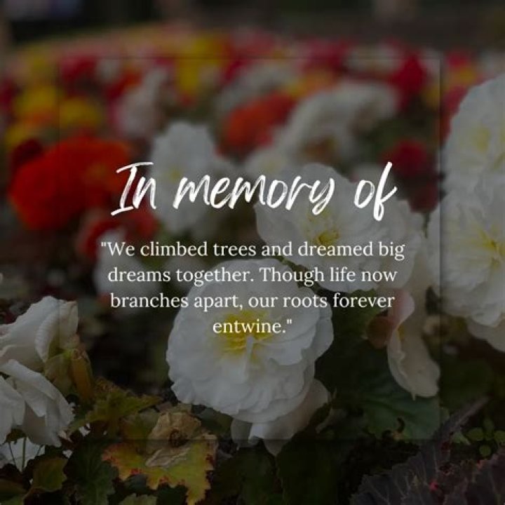 Rick Ciuccio Obituary, Honoring The Memory Of Rick Ciuccio – Death