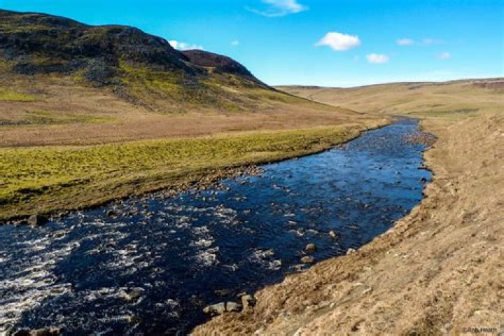River Tees | Co-Curate