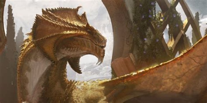 Seeking Ideas to Build a Brass Dragon Cohort