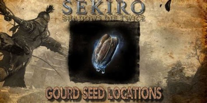 Sekiro Gourd Seed Locations: Where to Find All Gourd Seeds