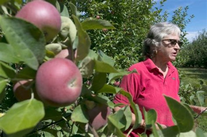 Sholan Farms 051121 - Sentinel & Enterprise