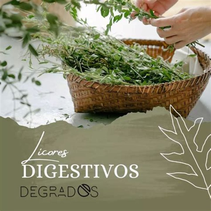 ¿Sientan bien los licores de hierbas al estómago?