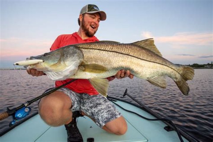 	SNOOK FISHING…WITH A CATCH*	