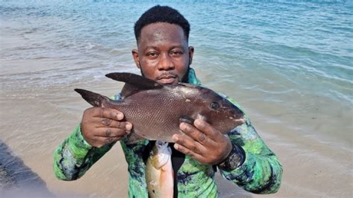 	Spearfishing for food and records	