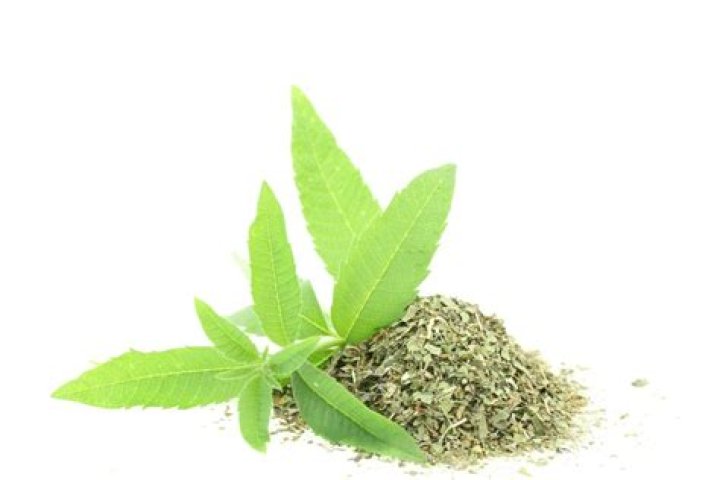 Spice market: vervain | South China Morning Post