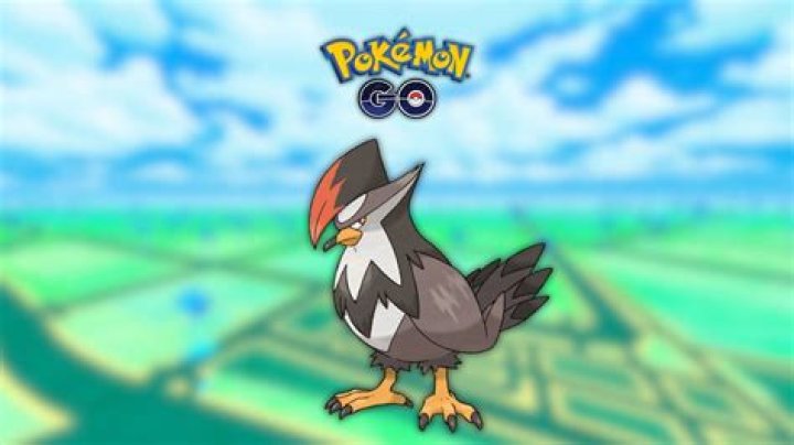 Staraptor Pokemon Go: How to Catch