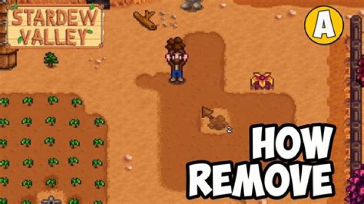 Stardew Valley: How to Remove Tilled Soil