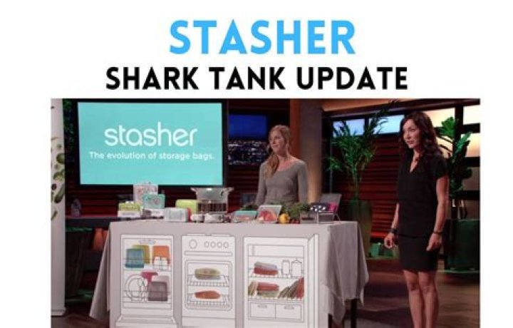 Stasher Shark Tank Net Worth 2024