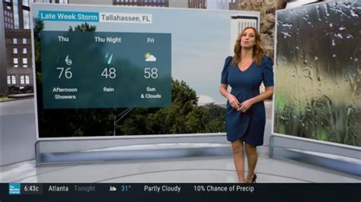 Stephanie Abrams 2023: A Journey Through Weather And Television