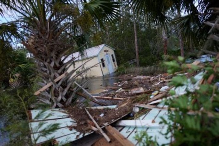 
Storms & Hurricanes |	Man struck by tree while cleaning hurricane debris is third Florida death from Hurricane Idalia	