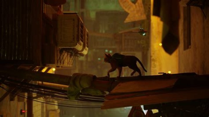 Stray, the cyberpunk cat adventure, has a lovable, believable cat hero
