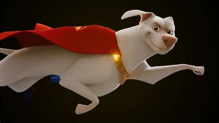 	Super Dogs	